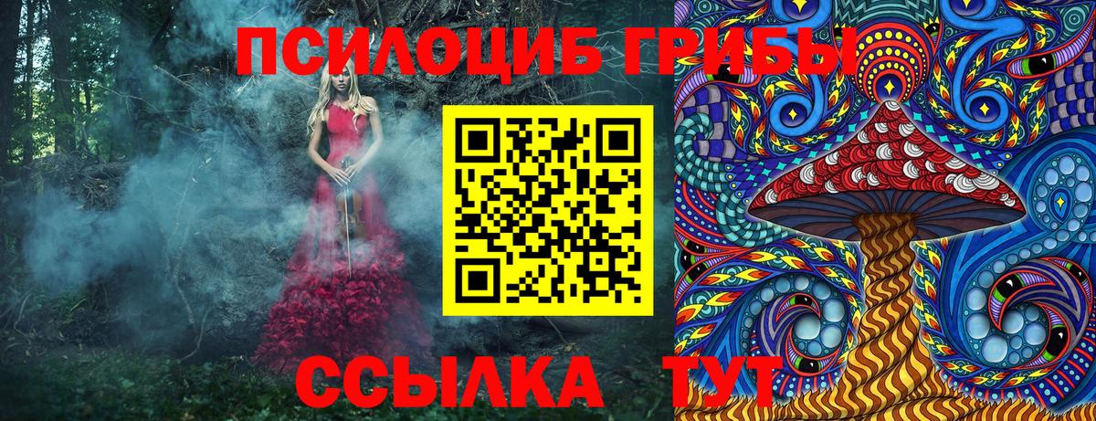 Аксай  Галлюциногенные грибы Cubensis  наркота  Вход с VPN 